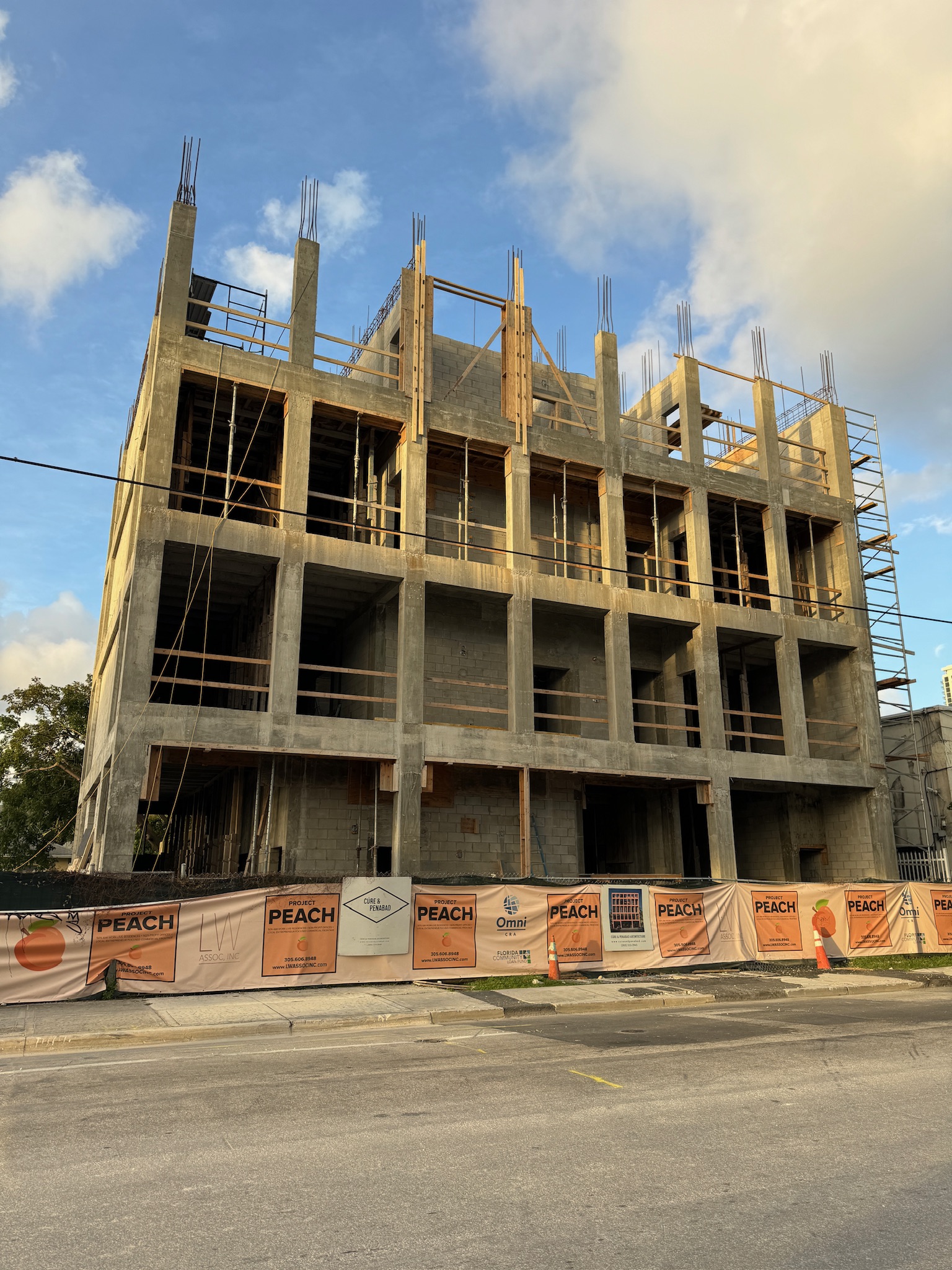 Peach Project/Engineer and Architect of Record